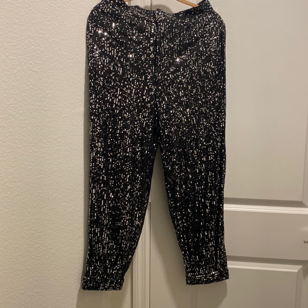 Zara Super fun pants in good condition sparkly